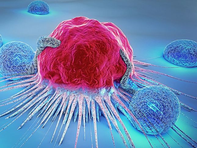 3D Abbildung einer Krebszelle