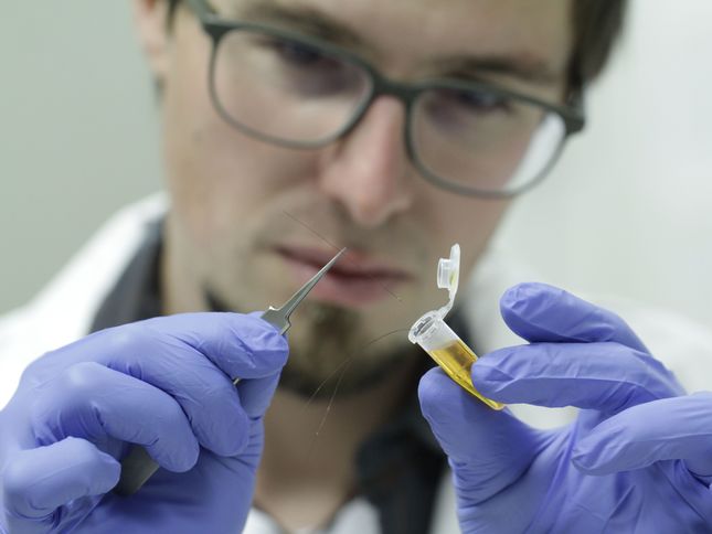 Forscher extrahiert im Labor Hautzellen aus Haarwurzeln