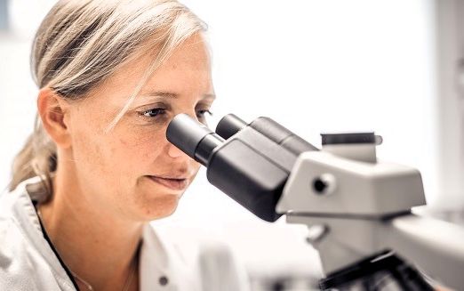 Forscherin Verena Wally schaut in ein Mikroskop